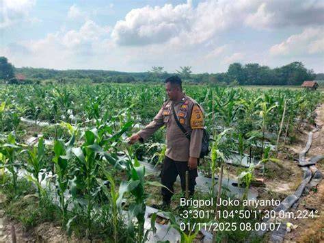 Galeri foto AbG NgEnToD Di KeBuN JaGuNg ready stok sisa dapatkan tiket solusi hemat di pada dashboard akun