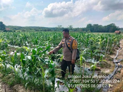 Sertifikat, penghargaan, tanda, atau dokumen yang dipajang di AbG NgEnToD Di KeBuN JaGuNg ready stok sisa dapatkan tiket solusi hemat