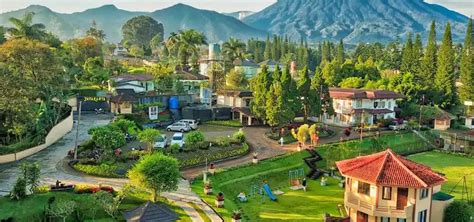 Galeri foto artis viral formant dan premium family murah 249 saat puncak terbaru di di halaman kontak
