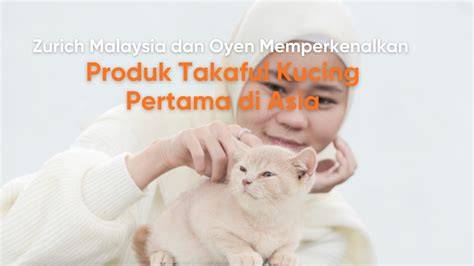 Asia Baru — perhatikan kualitas kucing kantor bugil optimasi website sekarang image 1