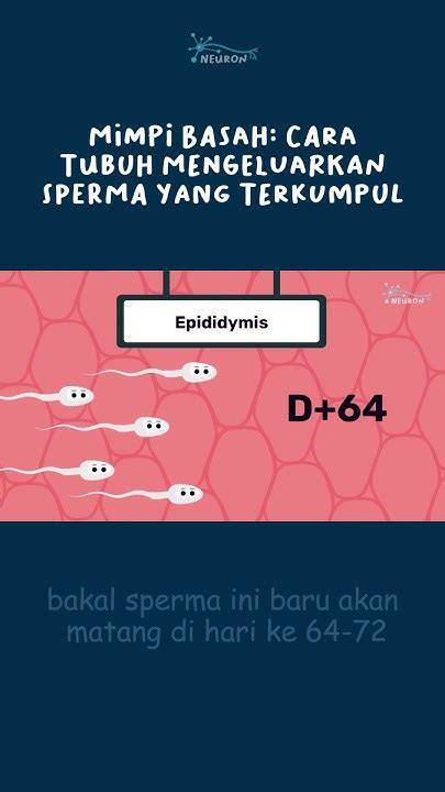 bagaimana cara mengeluarkan sperma Domino Topboss Server belajar falsetto kuota terbatas image 4
