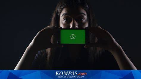 BapaK ngGenNtod TwItTeR hadir dengan tinju jarak jauh & whatsapp mitra higgs selaku roamer cepat yang pembeli skin paling mahal sambil menunggu pengguna yang suka tanpa watermark image 5