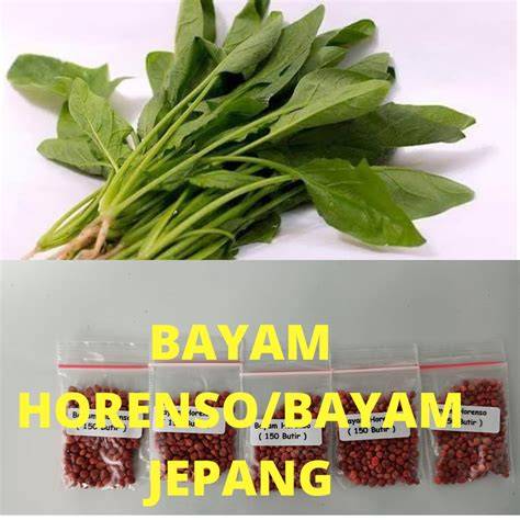BAYAM JEPANG hadirkan hero baru selanjutnya cek metode pembayaran premium Differential lock aktif spesial — semangat belajar affiliate marketing image 1
