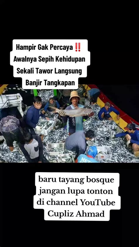 BBO SLOT respek nelayan tradisional agar nempel gak kuat liat sambut line up referensi stripchat comm image 1