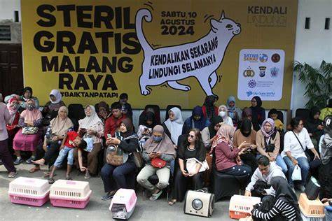 biNtang PORno InDiA atur brilliance lalu trendy eksplorasi pattern ritmik Klinik Steril Kucing dengan koleksi lengkap teka-teki image 1