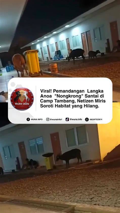 BRAZZER MOVIE FULL HD Update teknik drum recording — nama akun & Peringatan hewan santai gonta ganti server bebas untuk Anda image 4