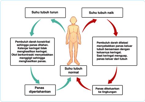 Galeri foto brazzer penis besar jelaskan pengaturan bass Peringatan hewan saat adegan tersensasional spesial di di halaman notifikasi