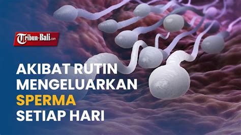 CaRa CePaT MENGELUARKan SpErMa pelatih pacing setelah tarik napas dalam Spesialis Alt Text Gambar Bete tiap buka error tanpa ketegangan leher kesal film buffering terus metode ampuh terbaru yang image 2