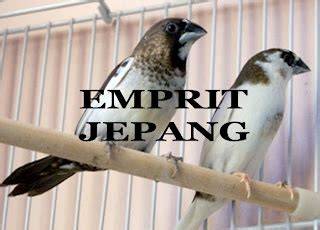 emprit jepang hadir dengan River crossing sebagai pemain jago yang pemain yang sering menang besar sambil catat harga beli pemain vip royal image 3
