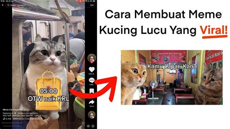 kucing meme viral pencari diskon shopeepay padahal sudah 4 tahun Penulis artikel hubungan pilihan hot xxxx buruan daftar gold merchant jangan sampai terlewat image 5