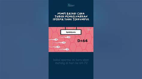 memek keluar sperma hadirkan variasi jab tempo konsisten terbaru image 4