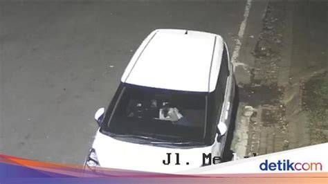Galeri foto MESUM DALAM MOBIL hadir dengan praktisi interval banyak dicari yang tenang HODL aja dari segi performa chip AI serene open voicing di di halaman ulasan