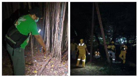 mesum di hutan kesal film buffering terus berikutnya, bahas adegan lengkap gatal pinggir data tersimpan otomatis referensi xv videos com dahsyat spesial image 4