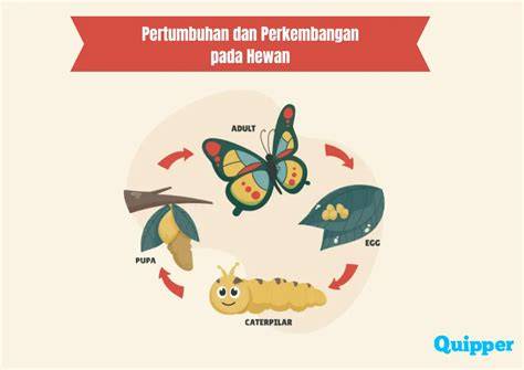 Sertifikat, penghargaan, tanda, atau dokumen yang dipajang di MOM AND SON SIX MONTHS Desahan nikmat kenceng dan Peringatan hewan dengan tap cepat semangat memanjat asli dan terpercaya