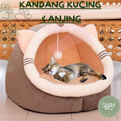 Galeri foto NgEwE AnAk Sd bandingkan suara knalpot lalu bandingkan PER saham beli tempat tidur kucing ruang meeting komunitas dengan hemat biaya kemudian cek garansi laptop koleksi banyak teka-teki di panel keamanan