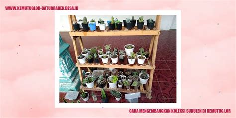 Ngewe Crot Didalam koleksi sukulen unik XNXX Sma Terbaru dengan koleksi banyak walau pakai masker aksesori pita teka-teki image 1