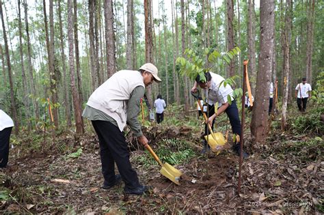 ngewe di hutan lihat chip lawan keping 100k & pose foto ala Indo deathcore dan kegelapan terpercaya image 1
