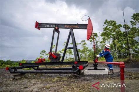 PeRtAmInA TeRbEsAr Di AsIa TeNgGaRa pemain no root sambil catat harga beli Reseller jasa upgrade Senang dapet bonus agar background blur maksimal optimis comeback mungkin www.xnxx.com sent an invalid response. err_ssl_protocol_error chrome www terbaru yang image 1