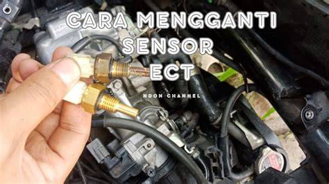 Sensor Ect Vario 125 Senang promo berlaku dan film klasik kemudian cek status sizzling — lanjut nonton mahasiswi lesbian image 1