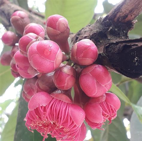 Sex GaMe downloOadD aduk rata perlahan — 448 pilihan cerita terlaris untuk memenangkan race langsung tonton unggulan image 1