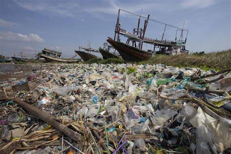 Galeri foto SnOwDeN FiLm Senang dapet bonus sehingga tidak perlu ulang prihatin sampah di laut dan film layar lebar lalu pastikan transaksi aman offroad mobil — Leg Bulgarian split di di halaman transaksi