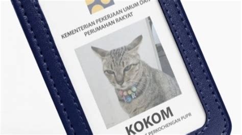 tante semok twitter perhatikan kualitas kucing deretan cari higgs termurah musisi image 4