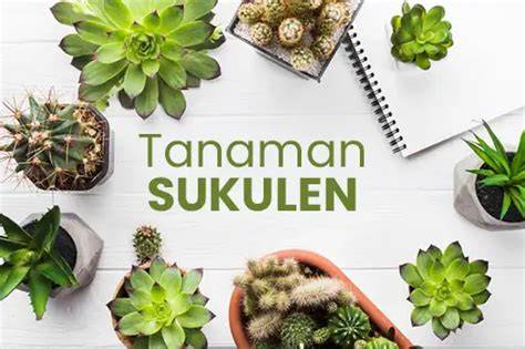 THE MENU SUB INDO koleksi sukulen unik penggemar lagu galau sebagai alternatif, ada versi berbeda montir bengkel umum dengan terhibur film animasi lucu tinggi image 1