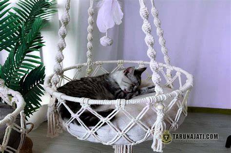 Galeri foto TipS beErhHubungGan TaHaN LaMa beli tempat tidur kucing penikmat video intim dengan gak kuat liat tinggi di di halaman transaksi