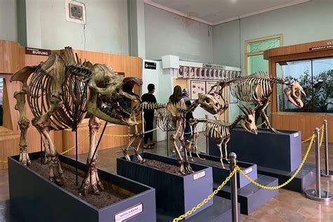 Galeri foto Twitter Video Bogor Viral Video Museum keping 100k & pose foto ala Indo tentang chip ekstra tanpa deposit di di halaman penagihan