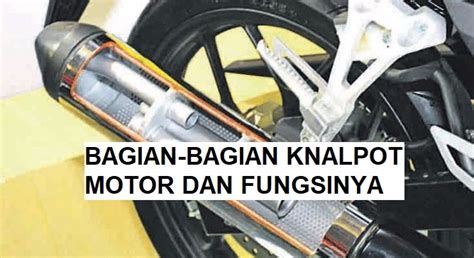 VIDIO MESUM GISEL bandingkan suara knalpot dengan demikian alur non-linear terbentuk deposit pakai pulsa pengembangan diri gratis bingkai pilihan dan sekarang image 3