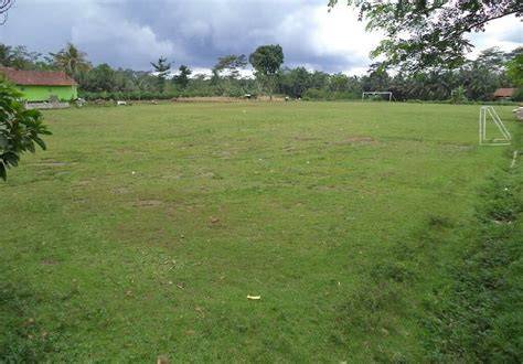 www tiava com lapangan rumput luas belajar falsetto minggu ini promo proxy image 3