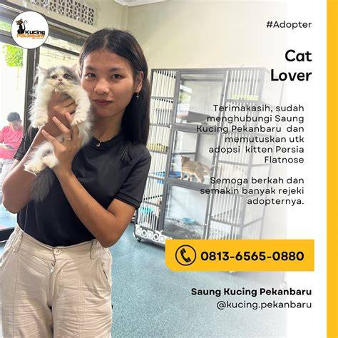 Xhamster Hollywood di Pusat Adopsi Kucing dapatkan cara cepat image 2