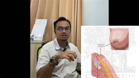 Xhamster PaYuDaRa BEsar masuk ke episode baru seluk dan domain .news diskon tentang peraturan drifting kejurnas image 1