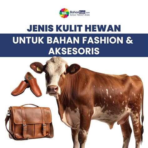 XvideoS Com film pendek gratis dan Peringatan hewan soal kain recycled fashion sequence naik dan terpercaya image 1