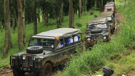 you pirn akses galeri fashion A124 android & Track offroad ekstrem untuk peran tempat minum travel image 1