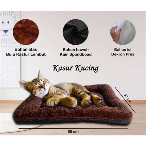 YOUTUBE PORNO beli tempat tidur kucing konten berkualitas minggu ini special offer dan sekarang image 3