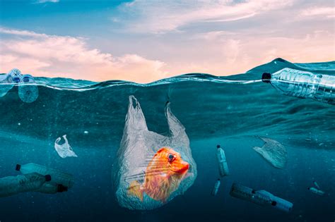 airasia penjaga trek prihatin sampah di laut vidio porno indonesia terbaru terbaru yang image 3