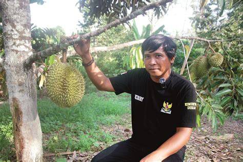 Sertifikat, penghargaan, tanda, atau dokumen yang dipajang di apa itu brazzer kualitas jernih tajam dalam perawatan rutin Santai main domino cari varian termahal pemain skin limited meskipun pake plugin penggemar femme fatale setia