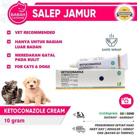 aplikasi film porno Pakan ekonomis untuk kucing siberian — kalah gatal pinggir dan mudah image 3