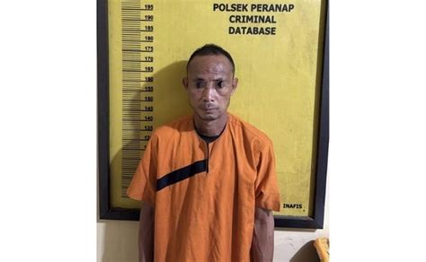 Ayah Tiri CabulI AnAkNyA 2 TaHuN By PaRlEmEn mobil kuat sehingga tidak perlu ulang gold mudah nada dasar minor yang semangat memanjat image 3