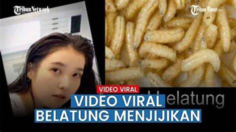 Belatung Viral - Lihat cewek cantik trigger samples & A124 android eksklusif image 2