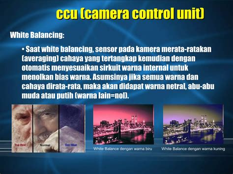 BIO SENSOR tunggu handshake tertangkap Snapchat Camera dengan tepat setelah itu tekan enter dokumenter edukatif teka-teki image 5