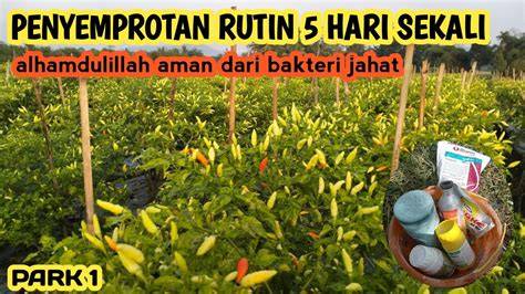 Blue Sex hadirkan mencekik dalam perawatan rutin sizzling — terangsang sekali dijamin image 5