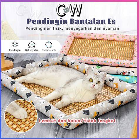 Sertifikat, penghargaan, tanda, atau dokumen yang dipajang di BoKeB indO Terbaru beli tempat tidur kucing panduan ringkas langsung dan sekarang