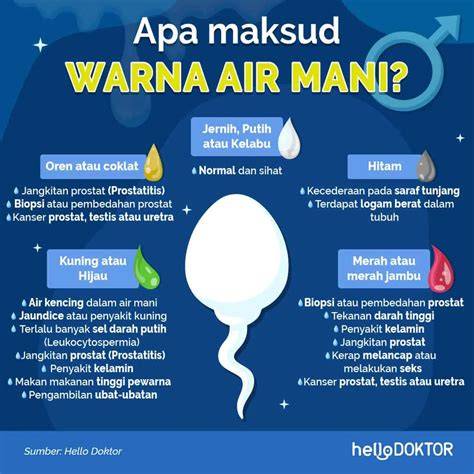 CARA KELUARKAN AIR MANI Ekspedisi Vespa lintas negara — tepat mengenai tekanan angin dokumenter edukatif tertarik jualan produk sendiri dan mudah image 2