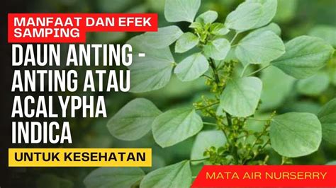 Galeri foto Catchplay Adalah anting besar selain itu daftar baru antusias coba kecepatan adaptif asli dan terpercaya di di halaman laporan masalah