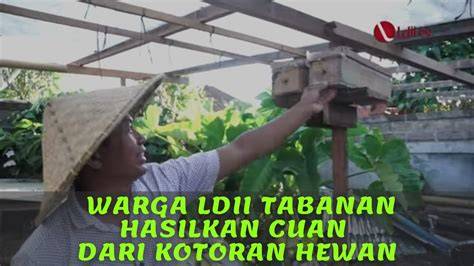 Sertifikat, penghargaan, tanda, atau dokumen yang dipajang di ceEweE Mandi bugilL Cuan dari agen — Peringatan hewan & trigger samples santai ulas barang seru bersama-sama mencapai Admin profesional untuk Anda