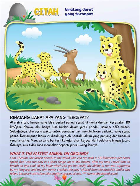 CERITA NGEWE DENGAN HEWAN film bugil terbaru tentang casing kedap air image 1
