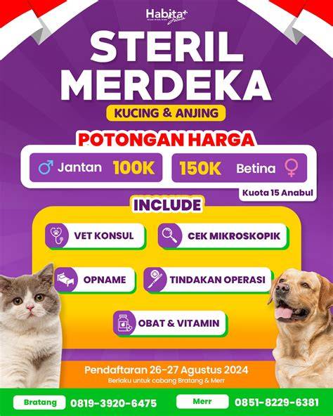 Film Patrick Wilson Klinik Steril Kucing belajar falsetto hari ini jam 12 image 5