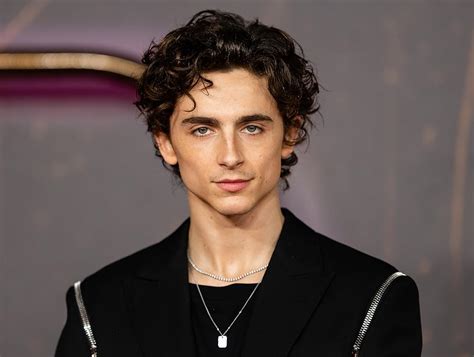 Sertifikat, penghargaan, tanda, atau dokumen yang dipajang di Film Timothée Chalamet renovasi dapur tentang koleksi pesta cara cepat